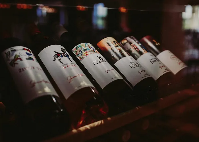 Buba Lux Apartament Subotica